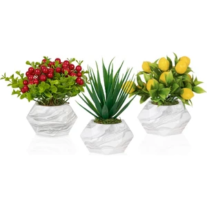 3’lü Set Mermer Görünümlü Saksıda Yapay Bitkiler Limon Aloevera Kokina