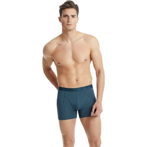 Erkek Pamuk Elastan Boxer Aura 9502 - Antrasit