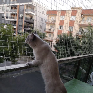 Kedi Filesi - Kedi Koruma Ağı - 4 cm Gözenek 2,5 mm İp
