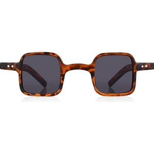 Aqua Di Polo 1987 So Bright Kadın Geometric Kahverengi Leopar Güneş Gözlüğü APSU033503