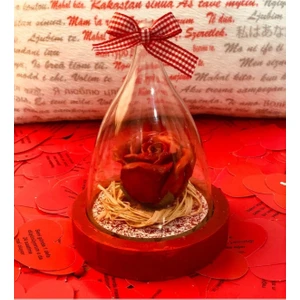 Aşkımızı Hiç Solmasın Küre ve Aşk Sözleri 100 Dilde Aşk Yastığı Sevgiliye Hediye