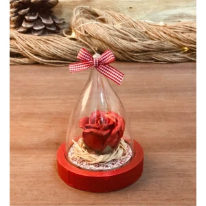 Aşkımız Hiç Solmasın Rose Sevgiliye Hediye Aşk Küresi