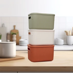 3 Adet Çok Amaçlı Kapaklı Renkli Organizer Kutu 6.2lt