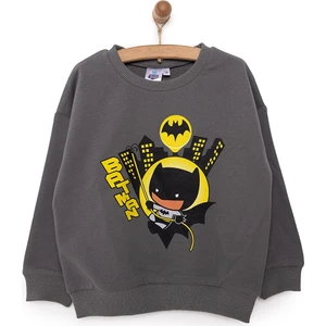 Dc Comıcs Batman Erkek Sweatshirt Erkek Bebek