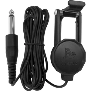 WCP-60V Keman Manyetiği