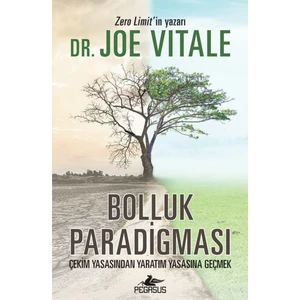 Bolluk Paradigması: Çekim Yasasından Yaratım Yasasına Geçmek - Joe Vitale