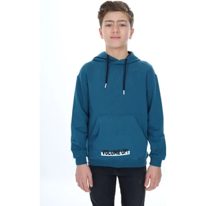Erkek Çocuk Baskılı Sweatshirt