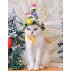 Kedi Şapkası Evcil Hayvan Aksesuarı