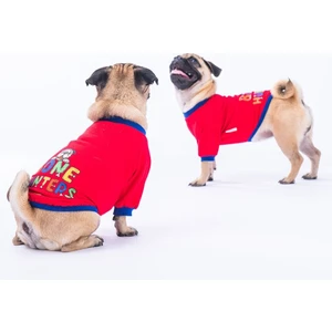 Kırmızı Bone Hunter Sweat Küçük ve Orta Irk