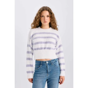 Regular Fit Çizgili Bisiklet Yaka Triko Kazak R1285AZ24CW