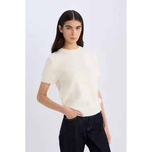 Regular Fit Bisiklet Yaka Basic Düz Triko Kısa Kollu Tişört Kazak E3214AX24WN