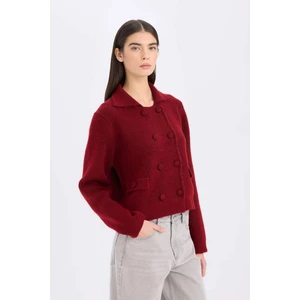 Regular Fit Polo Yaka Basic Düz Düğmeli Triko Hırka E2289AX24WN