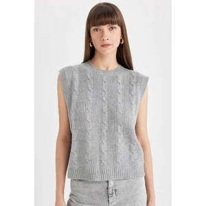 Regular Fit Bisiklet Yaka Basic Düz Saç Örgü Desenli Triko Süveter C9041AX24WN