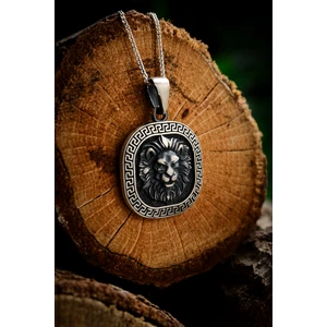 Ebrar Silver Gümüş Aslan Baş Kolye 925 Ayar Gümüş Mat Model Aslan Kafası Figürlü Erkek Kolye