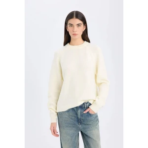 Regular Fit Bisiklet Yaka Basic Düz Triko Kazak D0035AX24WN