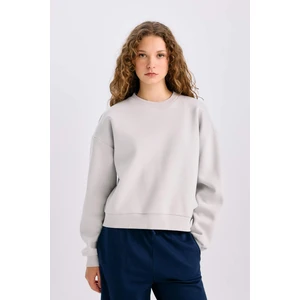 Regular Fit Bisiklet Yaka Kalın Basic Düz Sweatshirt D6645AX24WN