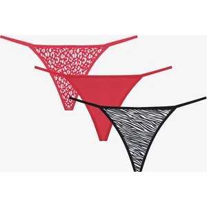 Animal 3lü Çok Renkli String Külot