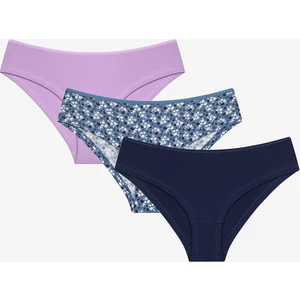 Vintage Floral 3lü Çok Renkli Hipster Külot