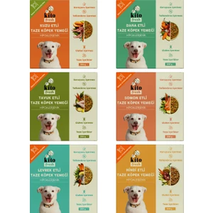 Fresh Köpekler için Tanışma Paketi