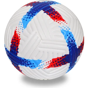 ALASTOR Profesyonel Futbol Topu Dikişli Futbol Topu Sert Zemin Halı Saha Futbol Topu Kaliteli Futbol Topu