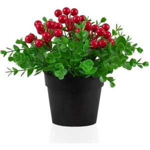 Plastik Saksıda Yapay Kokina Çiçeği