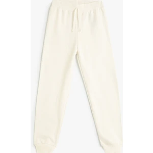 Standart Bel Lastikli Basic Jogger Eşofman Altı