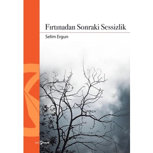 Fırtınadan Sonraki Sessizlik - Selim Ergun