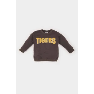 Erkek Bebek Bisiklet Yaka Baskılı İçi Yumuşak Tüylü Sweatshirt D0710A524WN