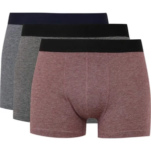 Regular Fit Çizgili 3'lü Boxer C3288AX24WN