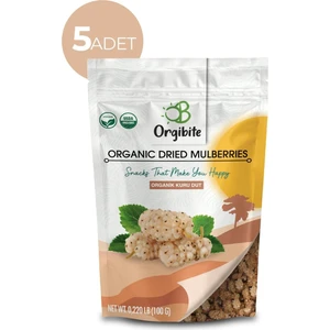 Organik Kuru Dut 5x100 g 5'li Set
