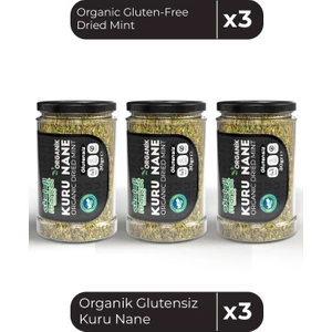 Ekoloji Market Organik Glutensiz Kuru Nane 30 gr X3 / Organic Gluten-Free Dried Mint 30 gr X3