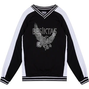 Beşiktaş Jr Sweatshırt 6425220