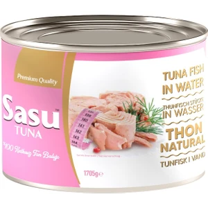 Light Ton Balığı 1705G Bütün Dilim