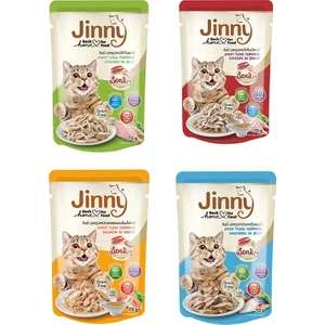4 Çeşit Kedi Yaş Mama