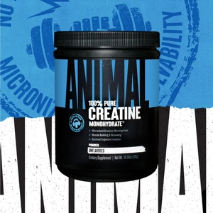 Animal Creatine Monohydrate 300 gr
