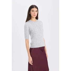 Regular Fit Bisiklet Yaka Basic Düz Yarım Kollu Triko Kazak D6205AX24WN