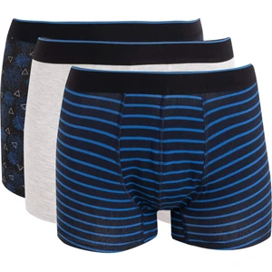 Regular Fit Baskılı 3'lü Boxer C9566AX24WN