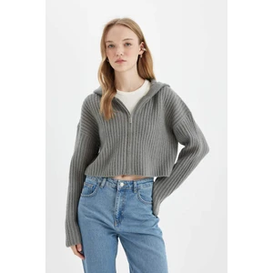 Regular Fit Kapüşonlu Fermuarlı Triko Hırka C7335AX24WN