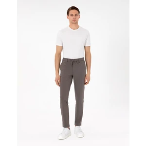 Pierre Cardin Erkek Vizon Slim Fit Esnek Jogger Kanvas Pantolon 50307954-Vr052