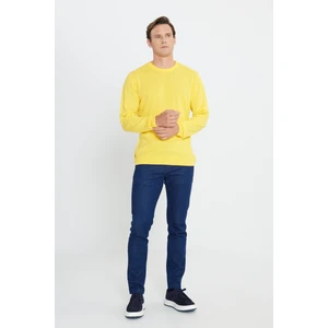 Altınyıldız Classics AC&Co / Altınyıldız Classics Erkek Sarı Standart Fit Normal Kesim Bisiklet Yaka Triko