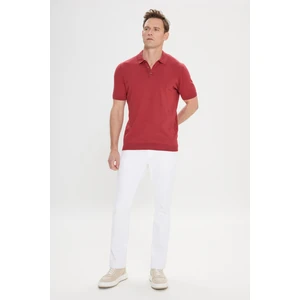 Altınyıldız Classics Erkek Bordo Standart Fit Normal Kesim %100 Pamuk Jakarlı Polo Yaka Triko Tişört