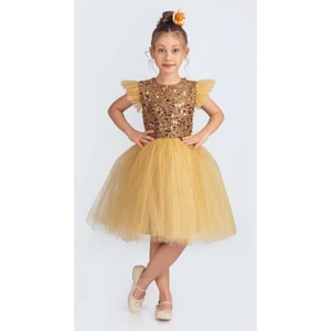 Mnk Baby & Kids Küpeli Pul Payet Tüllü Kız Çocuk Elbise MNK0526