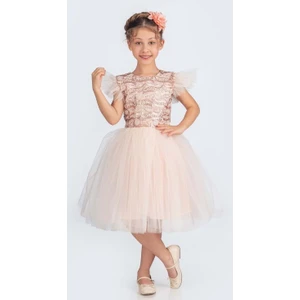 Mnk Baby & Kids Küpeli Pul Payet Tüllü Kız Çocuk Elbise MNK0526