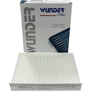 Fiat 500 L 2012-2017 Polen Filtresi