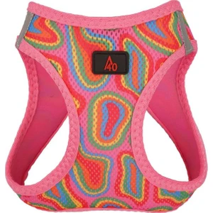 Pınky Air Mesh Köpek Göğüs Tasması Xlarge