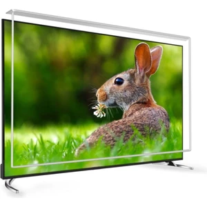70 Inç 178 Ekran Tv Ekran Koruyucu  Onvo Ekran Koruma Paneli