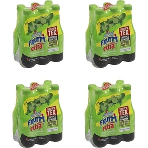 Frutti Extra Yeşil Limonlu 250 ml x 24 Adet