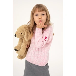 U.S. Polo Assn. Kız Çocuk Pembe Kazak /Triko 50297150-VR041