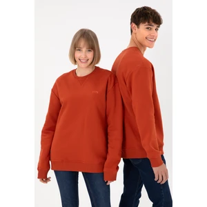 U.S. Polo Assn. Erkek Kiremit Sweatshirt 50295148-VR031
