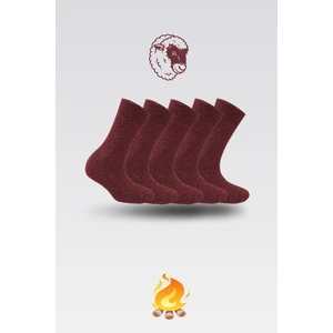 Nova Socks 5'li Kışlık Lambswool Kadın Yün Çorap